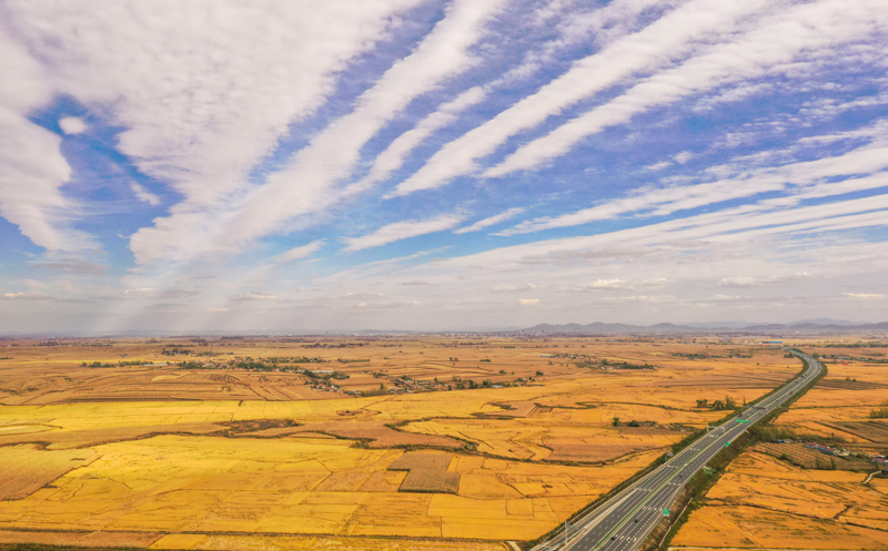 康县富硒大米(陕南富硒大米)-硒宝网