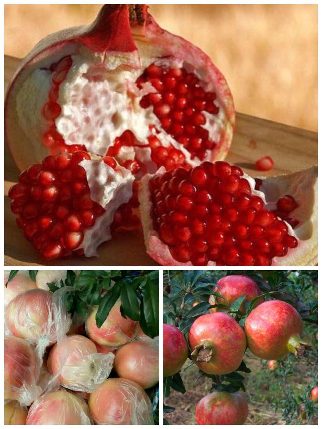 永城富硒大米(永州富硒大米)-硒宝网