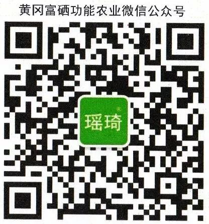 富硒状元大米(状元洲富硒大米)-硒宝网