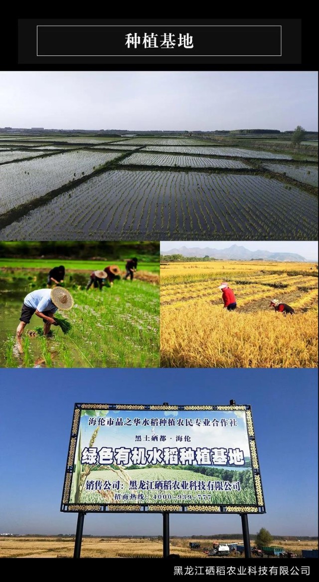 镇江富硒大米（江苏富硒大米）-硒宝网