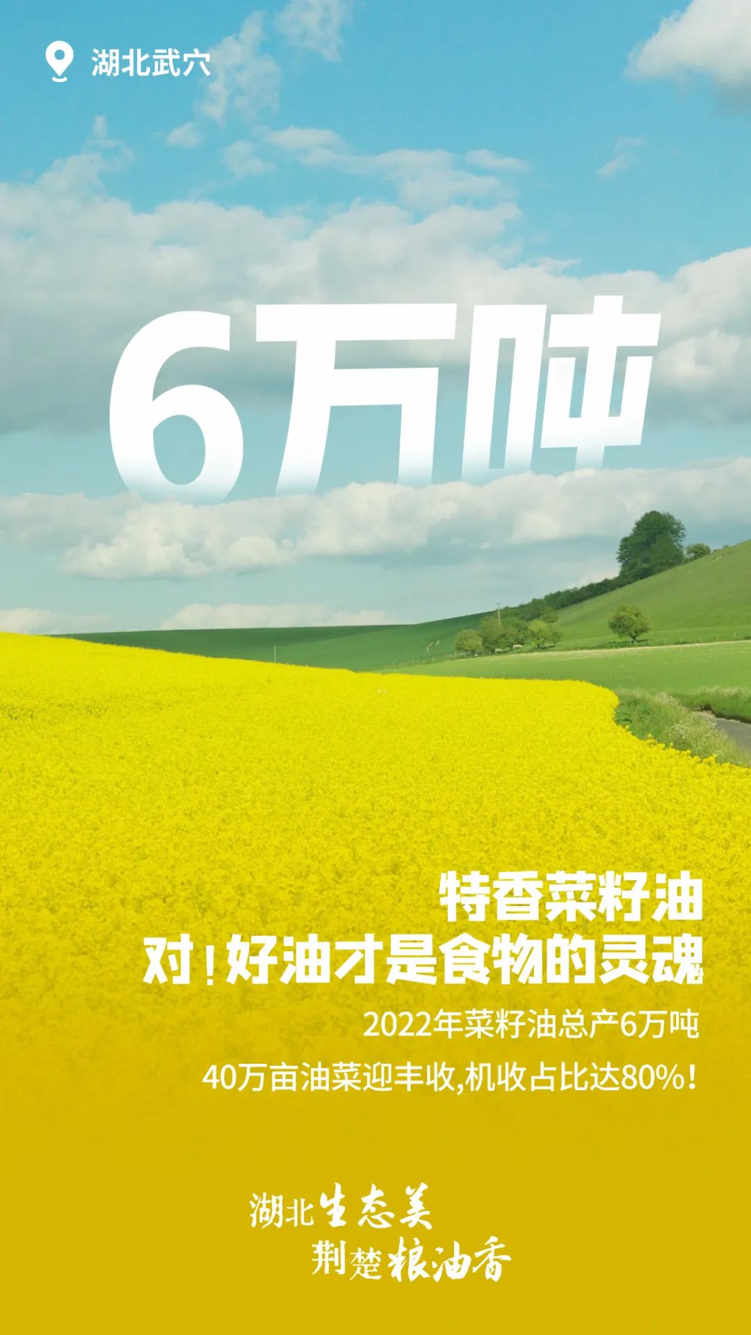 富硒大米湖北（富硒大米厂家）-硒宝网