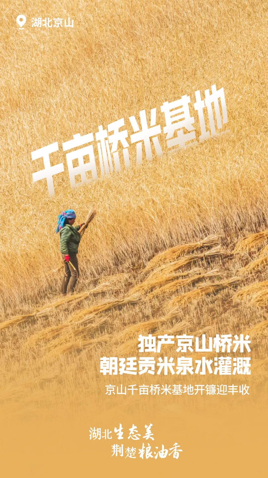 富硒大米湖北（富硒大米厂家）-硒宝网