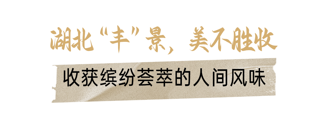 富硒大米湖北（富硒大米厂家）-硒宝网