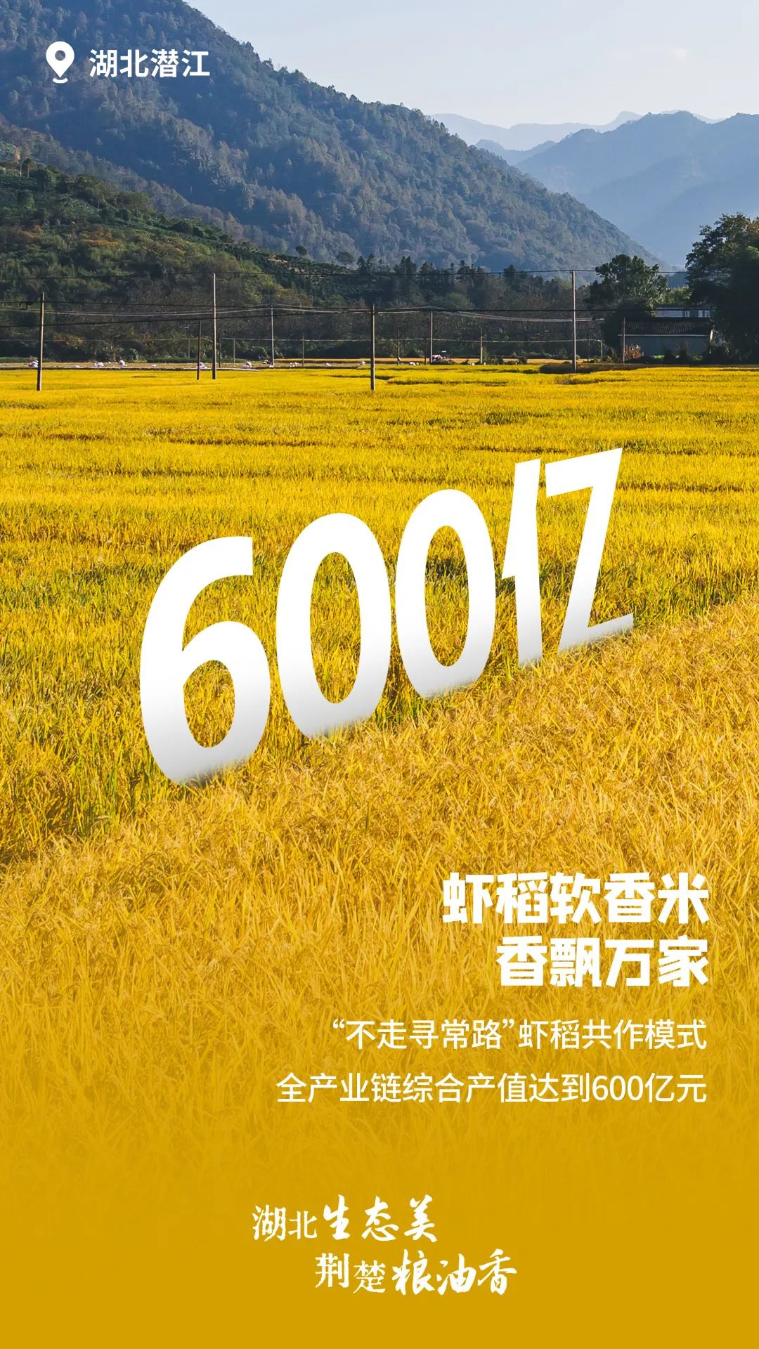 富硒大米湖北（富硒大米厂家）-硒宝网