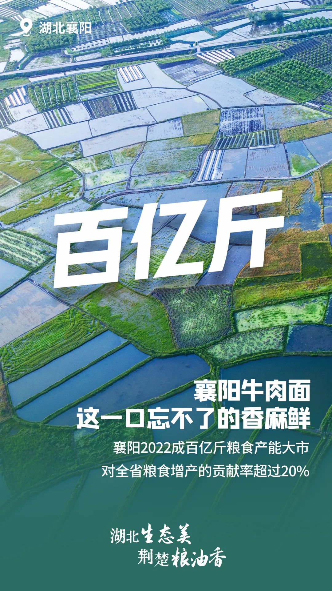 富硒大米湖北（富硒大米厂家）-硒宝网