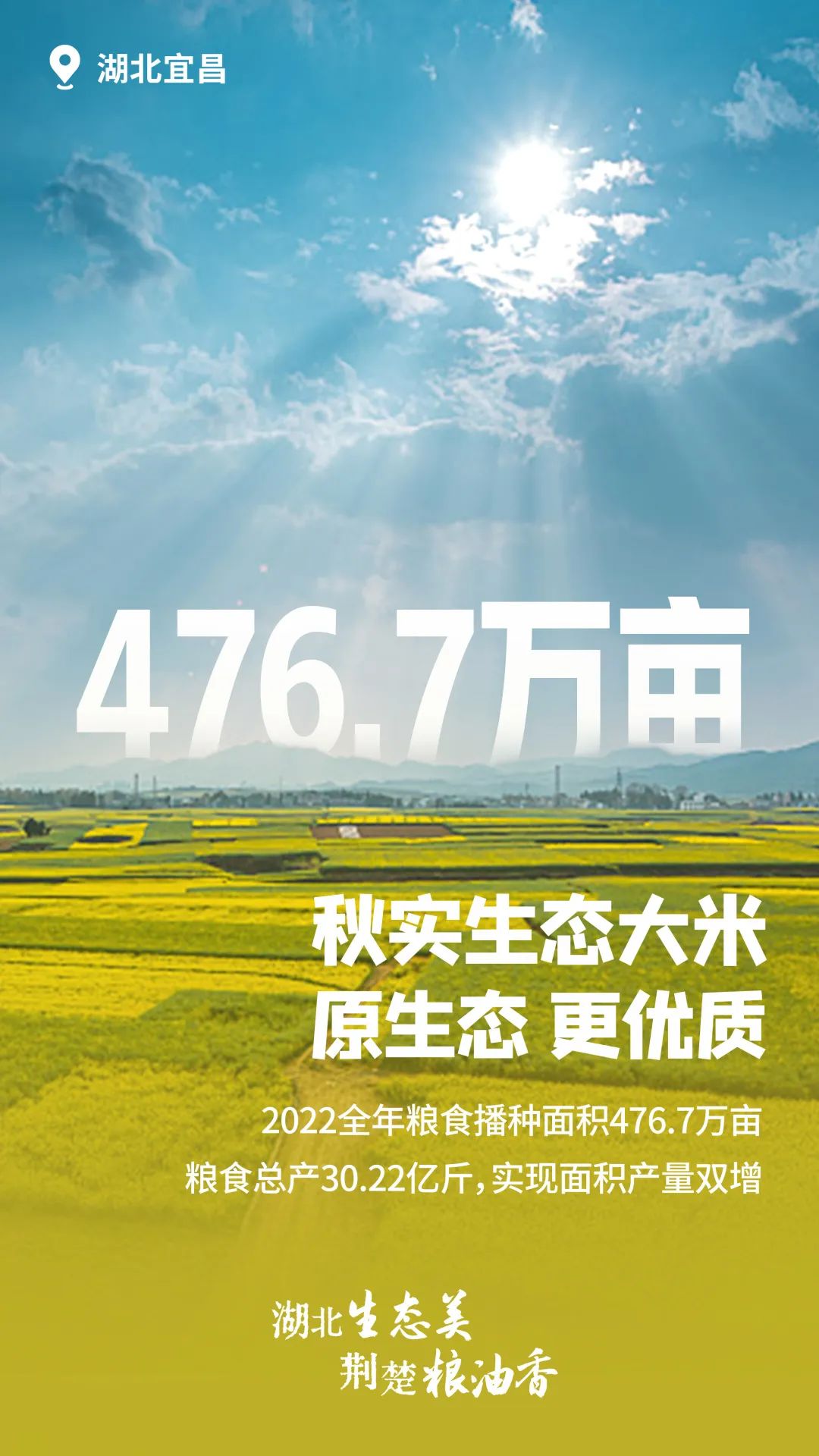 富硒大米湖北（富硒大米厂家）-硒宝网