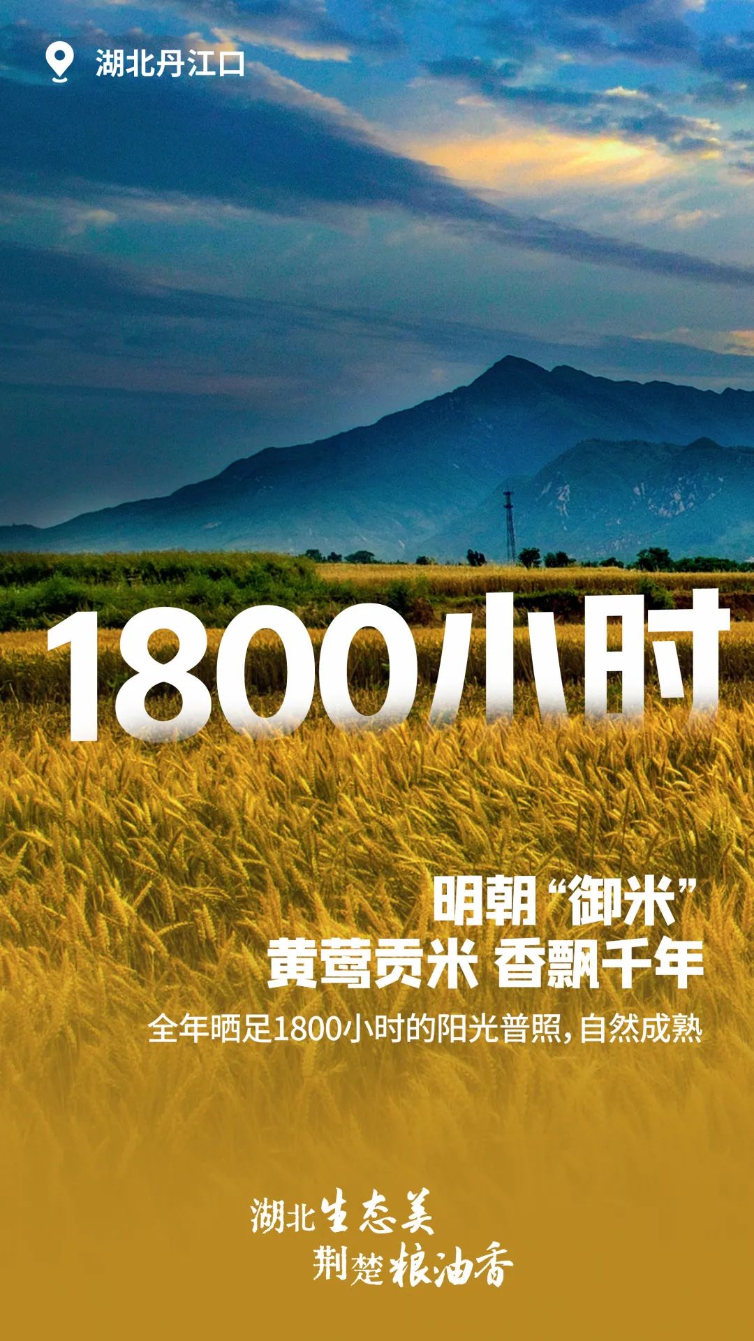 富硒大米湖北（富硒大米厂家）-硒宝网