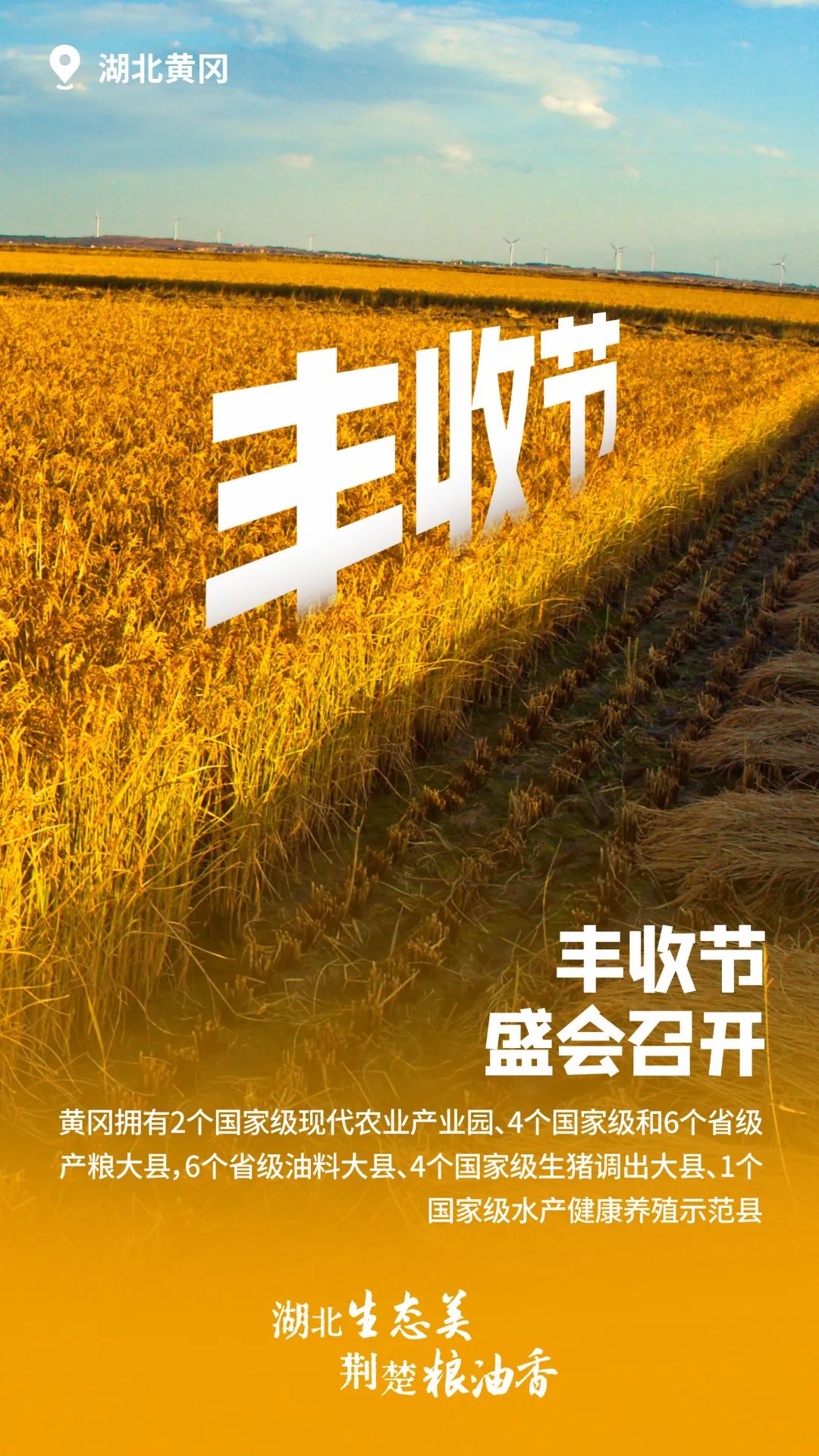 富硒大米湖北（富硒大米厂家）-硒宝网