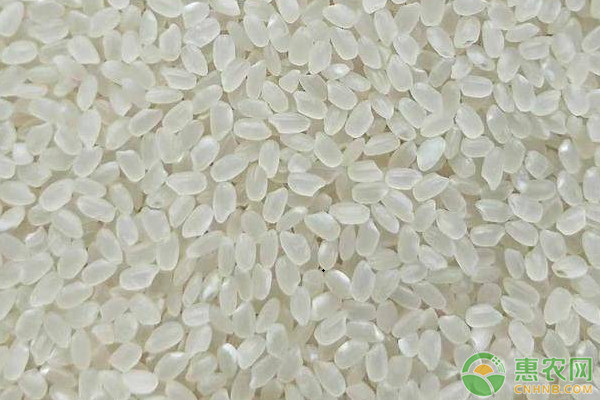 重庆富硒大米（富硒大米产地有哪些）-硒宝网