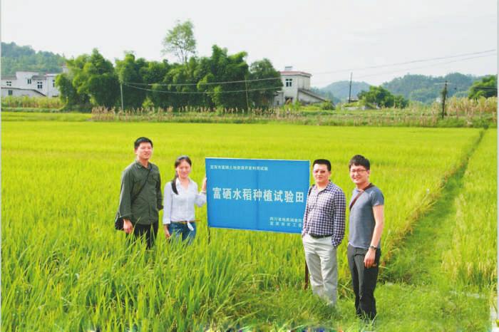 安远富硒大米（安微富硒大米）-硒宝网