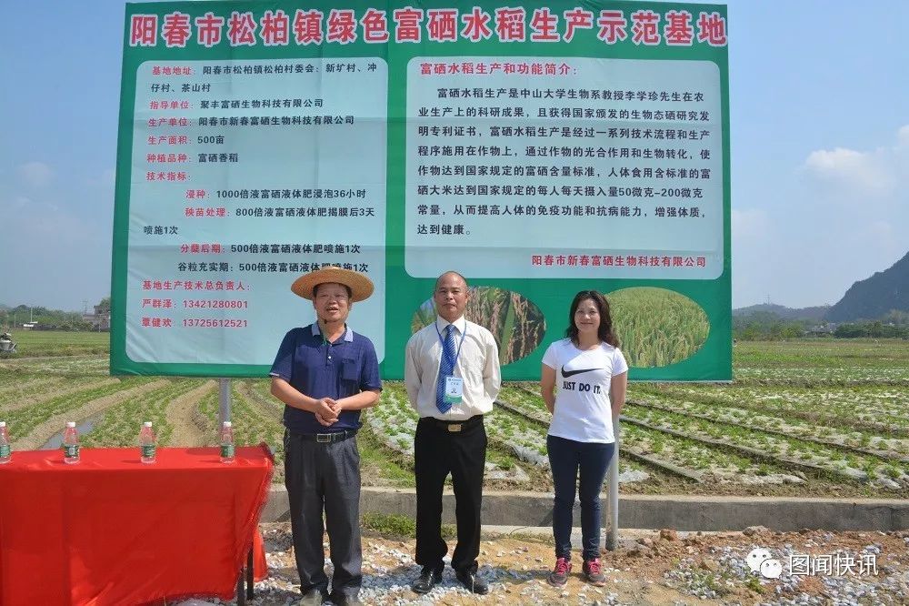 富硒大米打造（富硒大米能补硒吗）-硒宝网