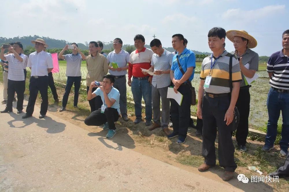 富硒大米打造（富硒大米能补硒吗）-硒宝网