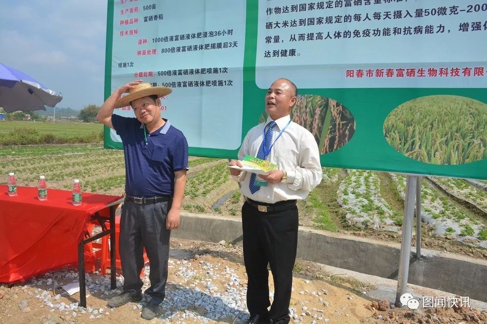 富硒大米打造（富硒大米能补硒吗）-硒宝网