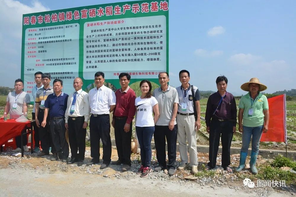 富硒大米打造（富硒大米能补硒吗）-硒宝网