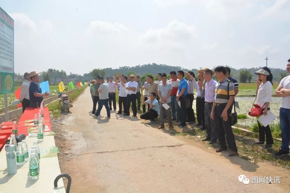 富硒大米打造（富硒大米能补硒吗）-硒宝网