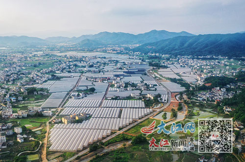 金龙富硒大米(金龙鱼富硒大米)-硒宝网