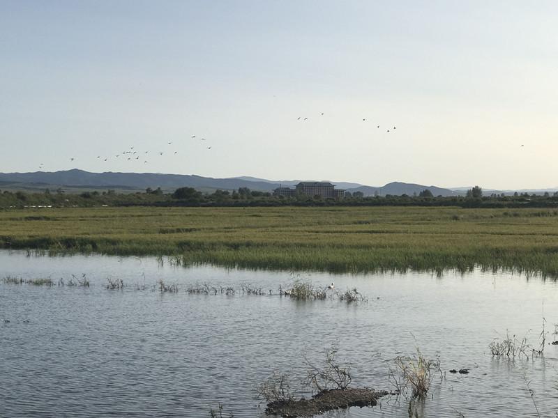 敦化富硒大米(吉林富硒大米)-硒宝网