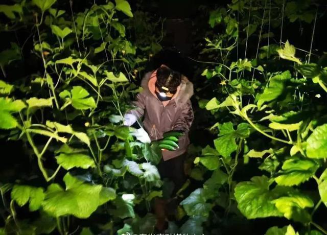 咸宁富硒大米（恩施富硒大米）-硒宝网