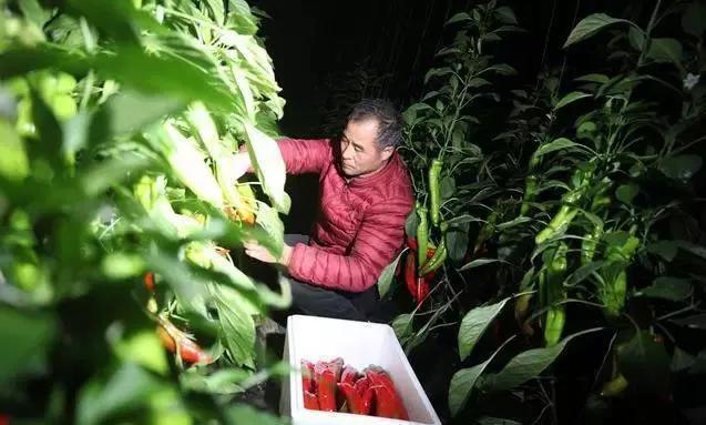 咸宁富硒大米（恩施富硒大米）-硒宝网