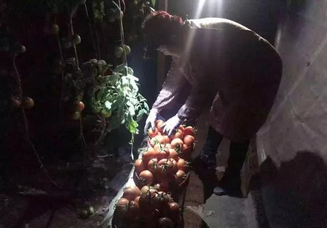 咸宁富硒大米（恩施富硒大米）-硒宝网