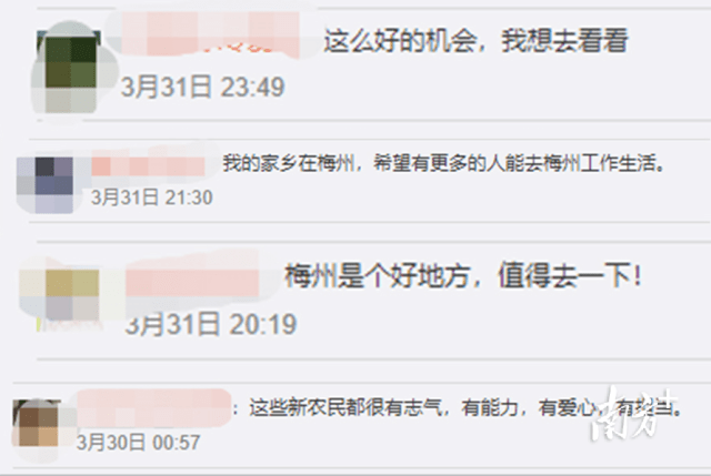 富硒大米定做(富硒大米好在哪)-硒宝网