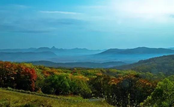 富硒大米源头（源头大米富硒米好吃吗）-硒宝网