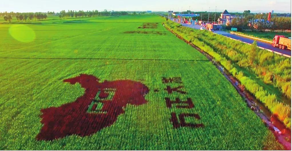 富硒大米源头（源头大米富硒米好吃吗）-硒宝网