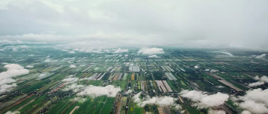 樟树富硒大米(江西富硒大米)-硒宝网