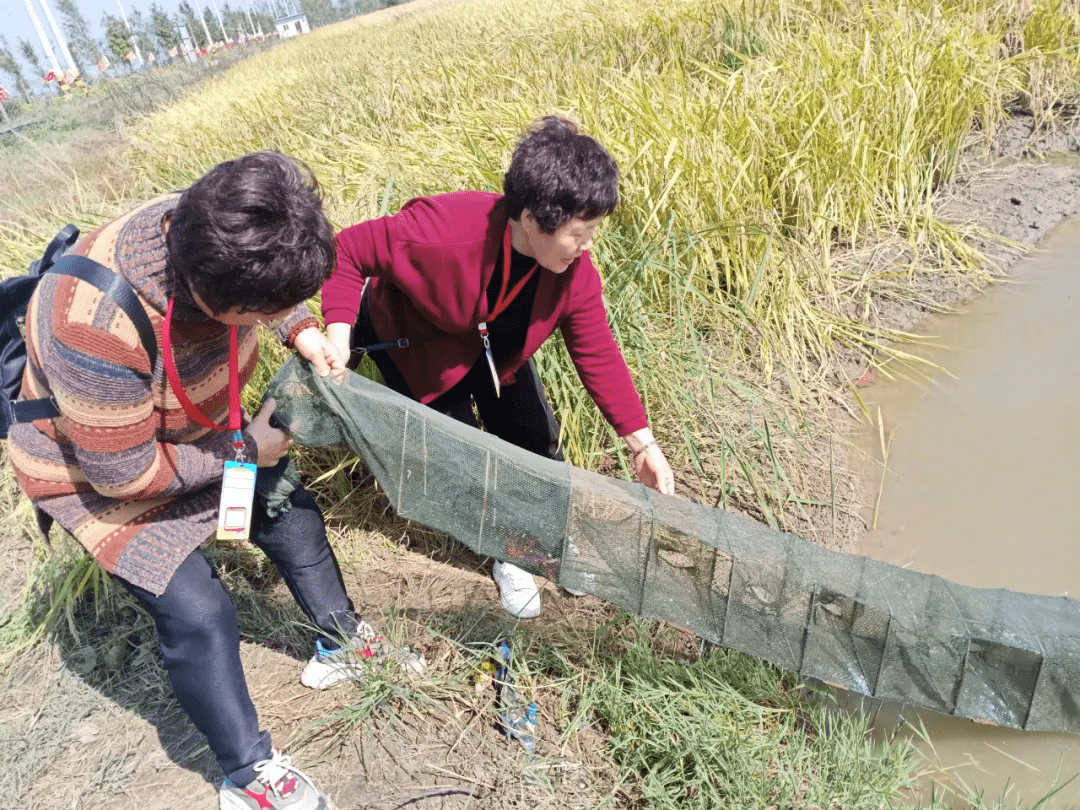 亳州富硒大米(安徽富硒大米产地是哪里)-硒宝网