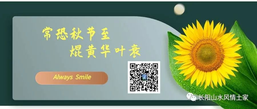 富硒大米难吃（大米难吃富硒吗）-硒宝网