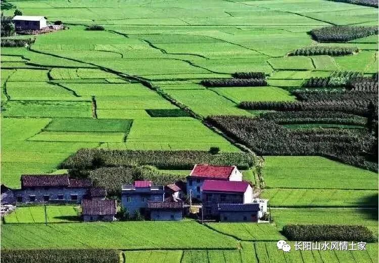 富硒大米难吃（大米难吃富硒吗）-硒宝网