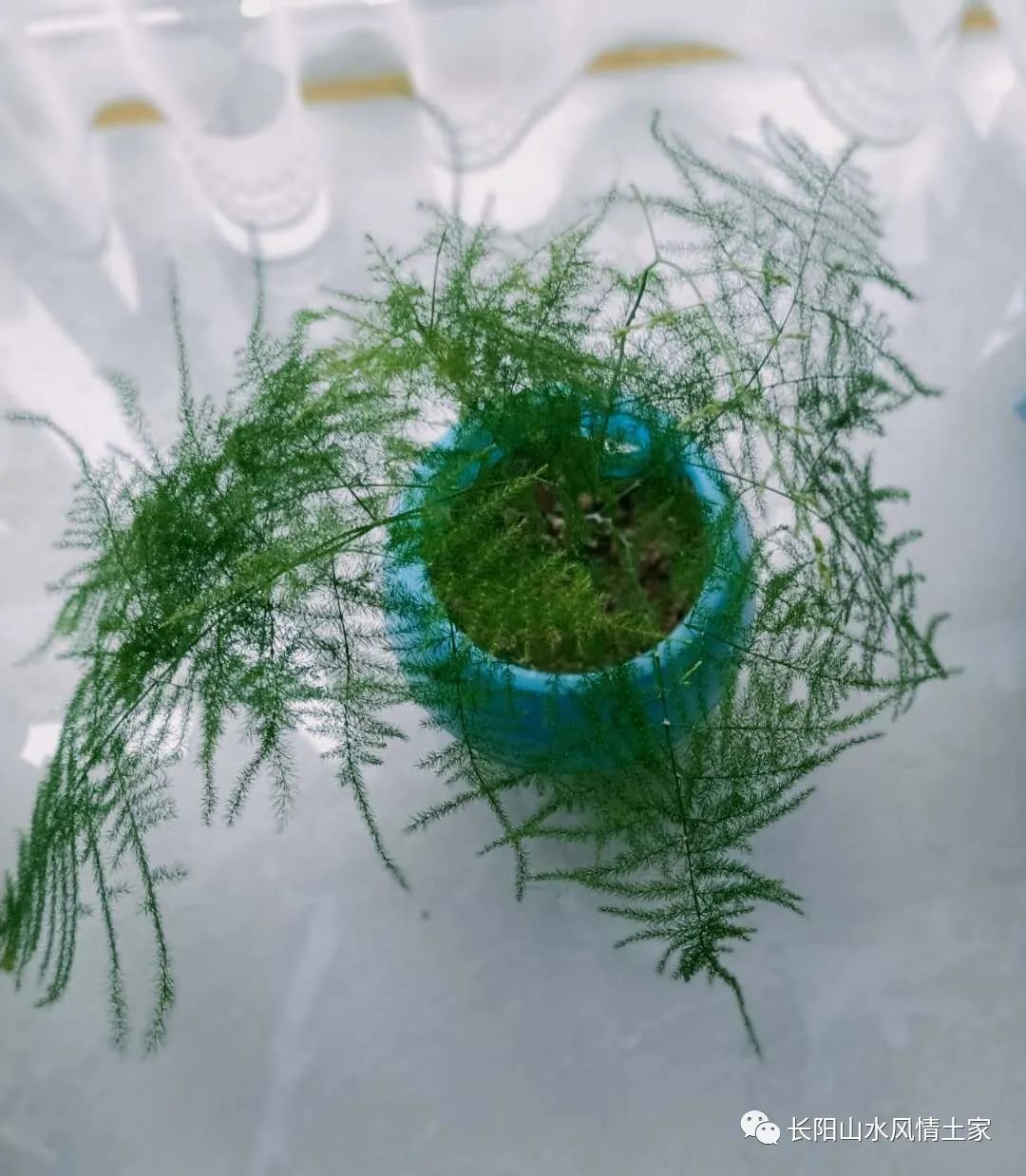 富硒大米难吃（大米难吃富硒吗）-硒宝网