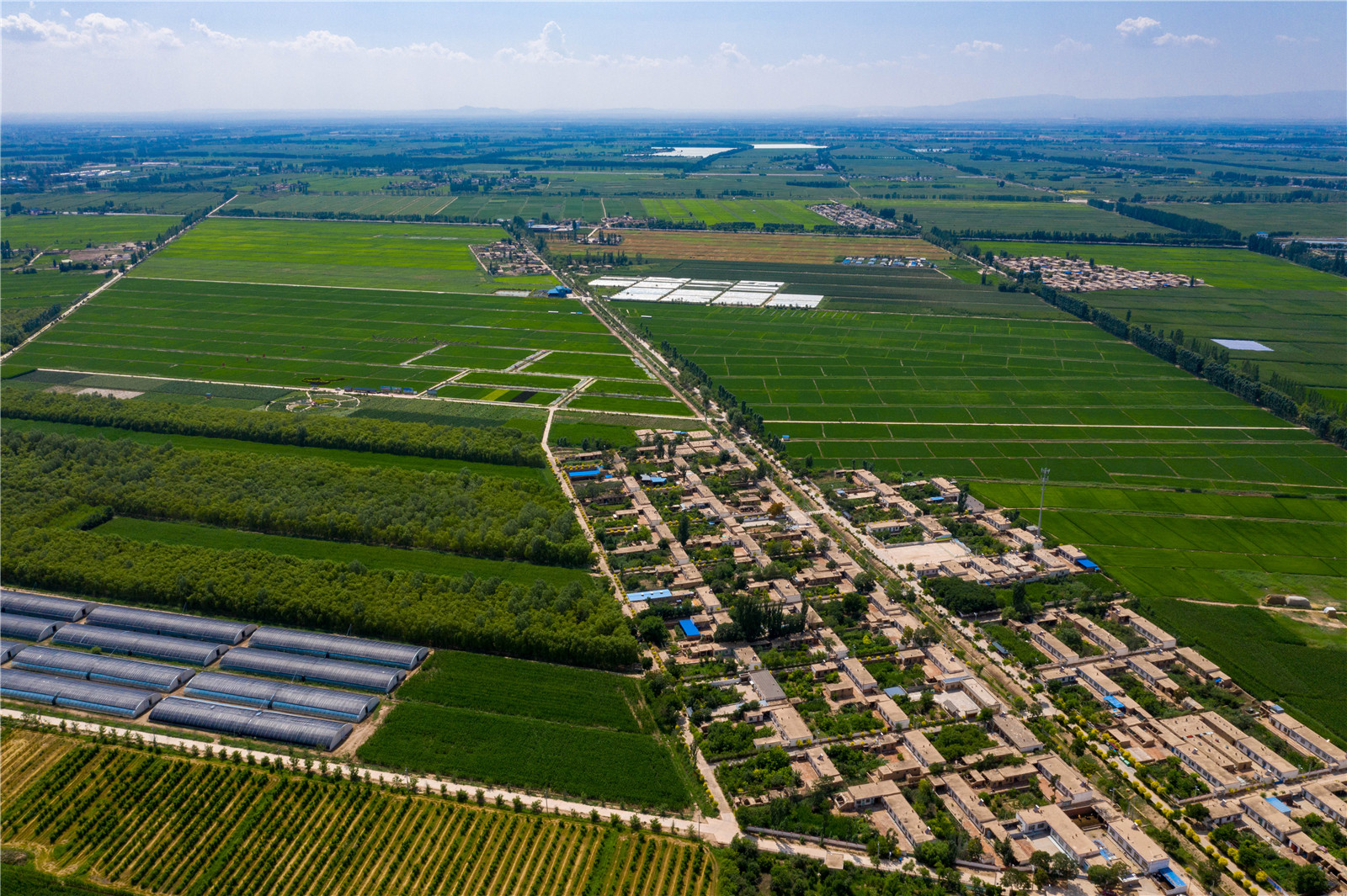 吴忠富硒大米(富硒优质大米)-硒宝网