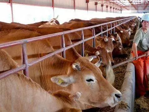 樟树富硒大米(樟树果园谷富硒生态园)-硒宝网