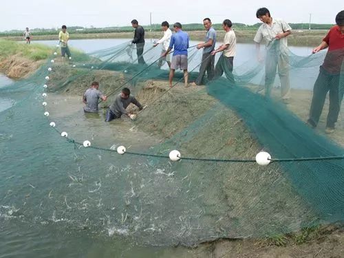 樟树富硒大米(樟树果园谷富硒生态园)-硒宝网