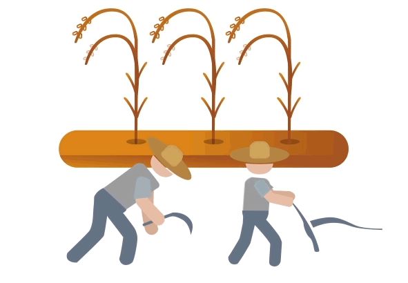 樟树富硒大米(樟树果园谷富硒生态园)-硒宝网