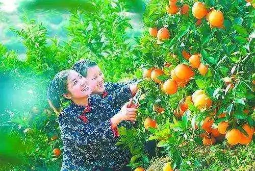 樟树富硒大米(樟树果园谷富硒生态园)-硒宝网