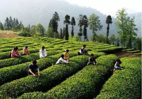 樟树富硒大米(樟树果园谷富硒生态园)-硒宝网