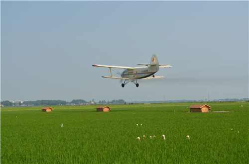 万昌大米富硒(富硒大米多少钱一盒)-硒宝网
