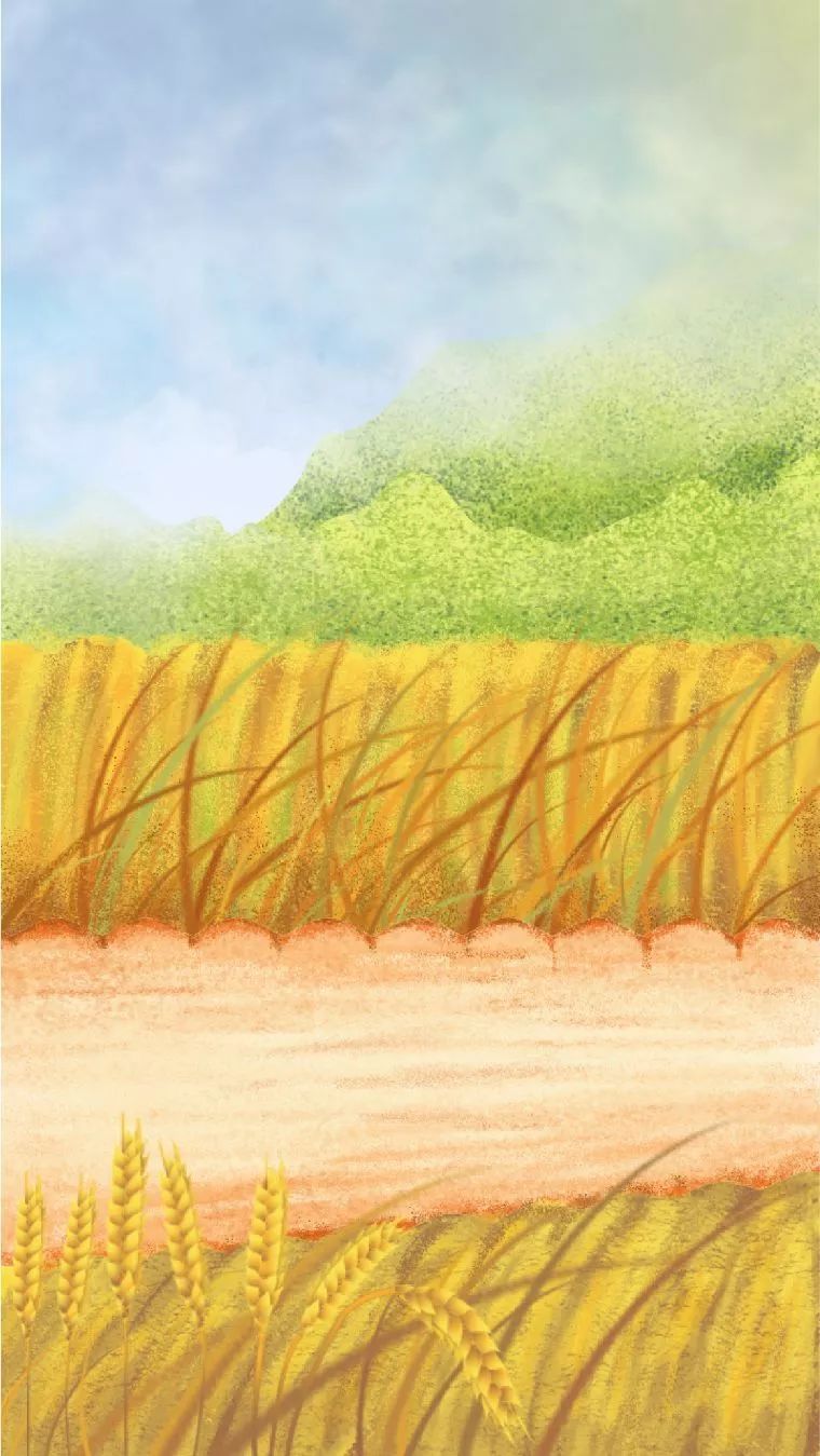 常吃富硒大米(吃富硒大米有哪些不良反应)-硒宝网