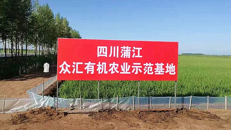 常吃富硒大米(吃富硒大米有哪些不良反应)-硒宝网