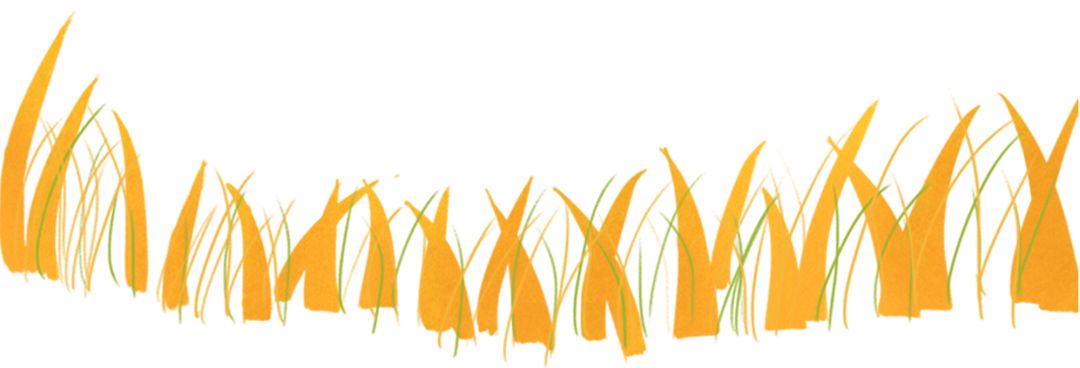 常吃富硒大米(吃富硒大米有哪些不良反应)-硒宝网