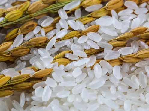 常吃富硒大米(吃富硒大米有哪些不良反应)-硒宝网