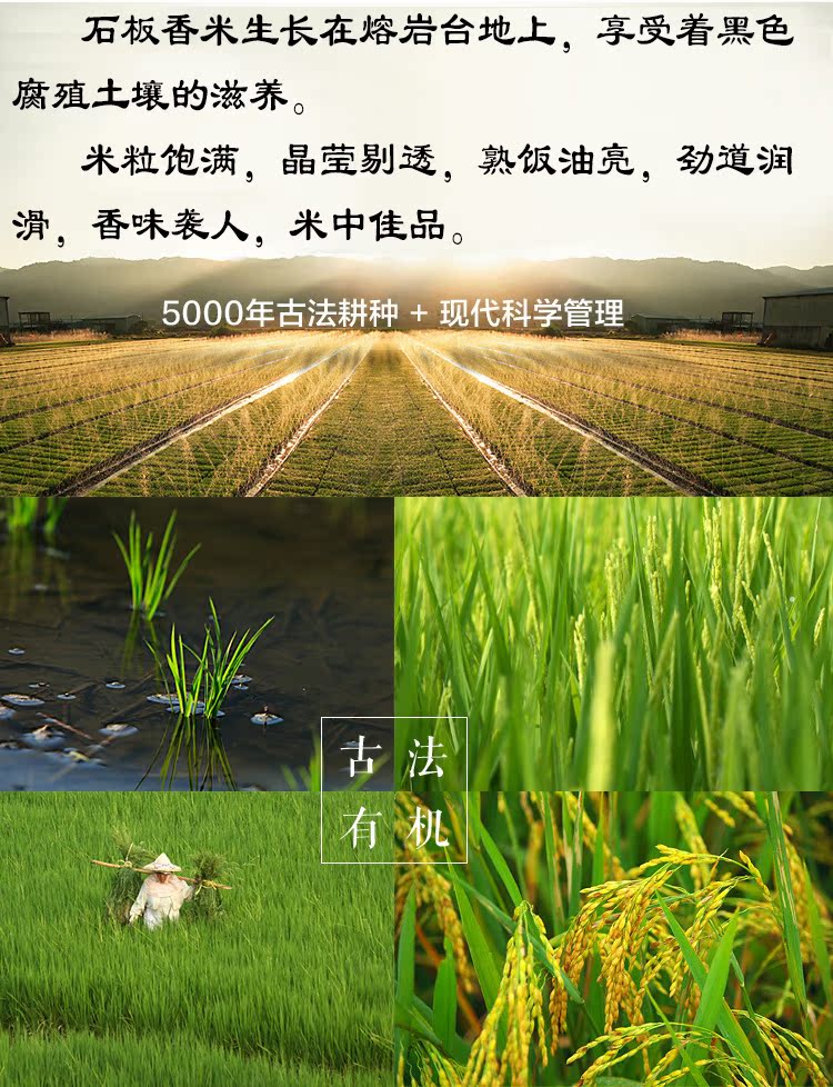 洲源富硒大米(大米源洲富硒产地)-硒宝网