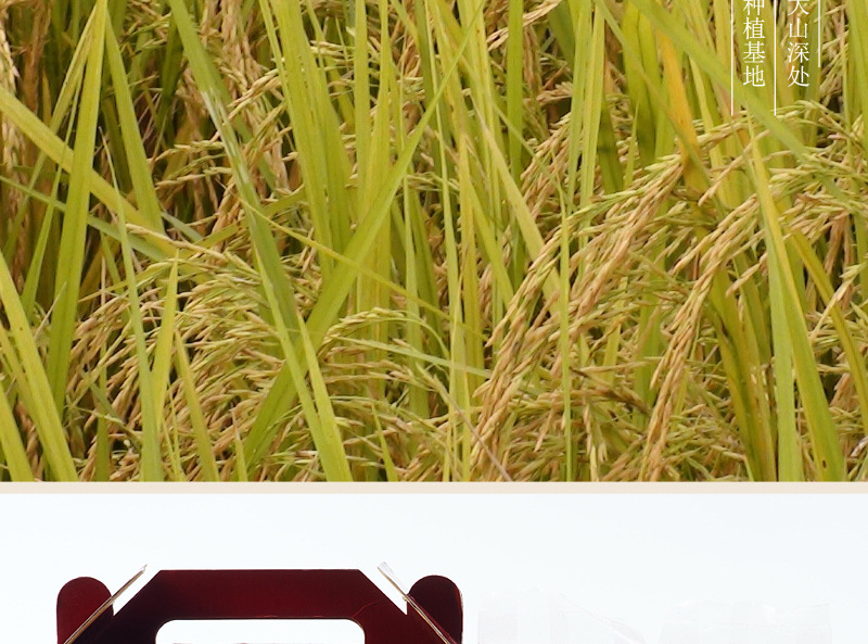 洲源富硒大米(大米源洲富硒产地)-硒宝网