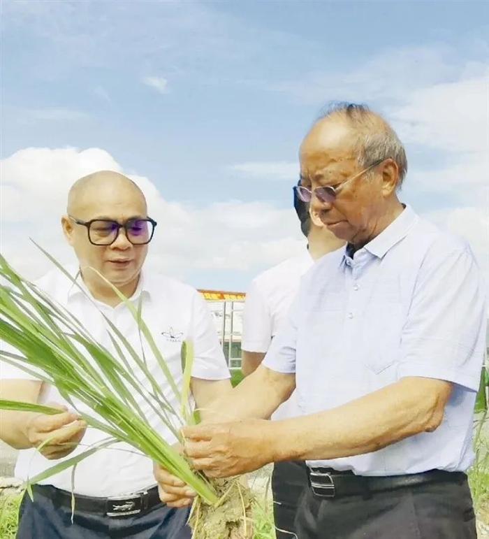 臻如富硒大米(富硒大米怎样)-硒宝网