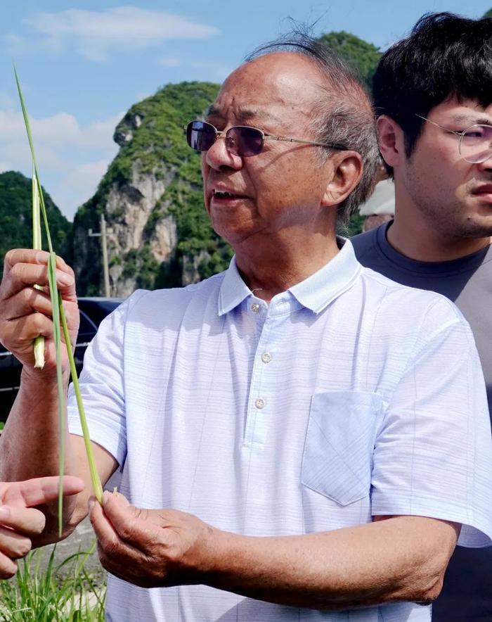 臻如富硒大米(富硒大米怎样)-硒宝网