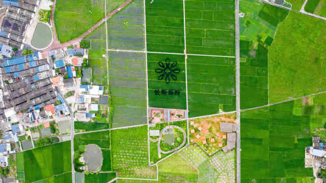 三帮富硒大米(富硒大米好处)-硒宝网