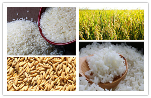渠星富硒大米(富硒大米传销)-硒宝网