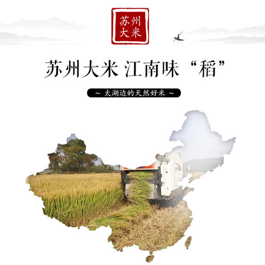 渠星富硒大米(富硒大米传销)-硒宝网